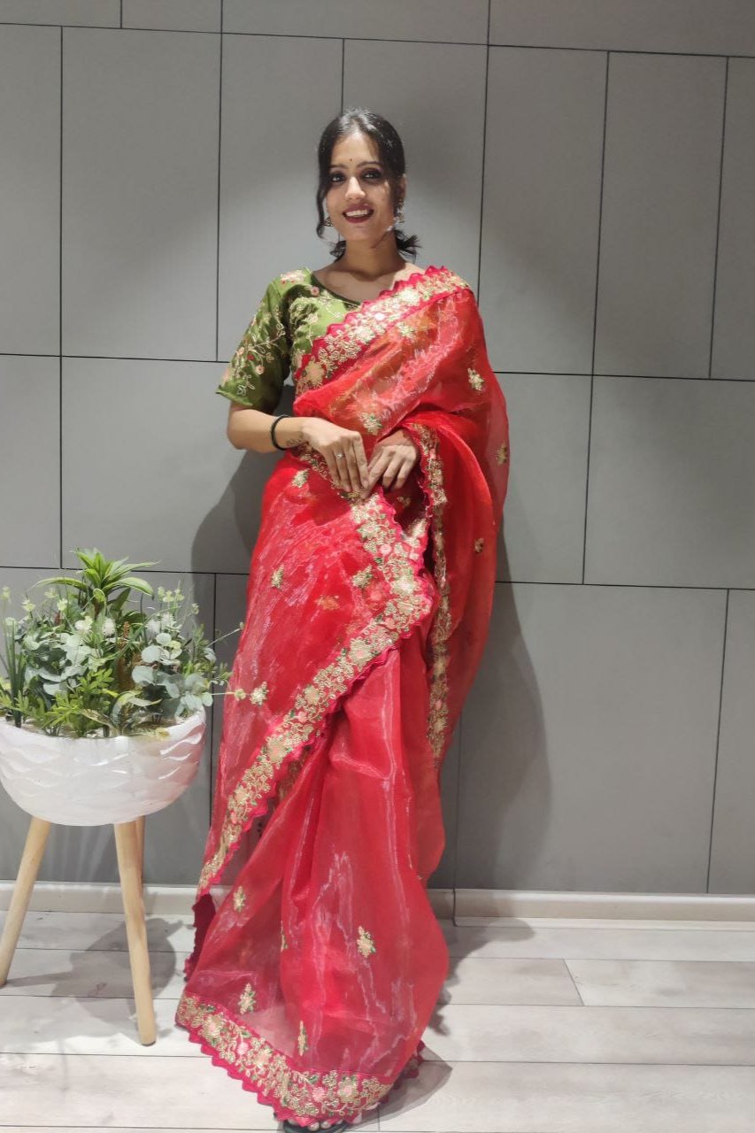 Premium Organza & Diamond Silk Saree