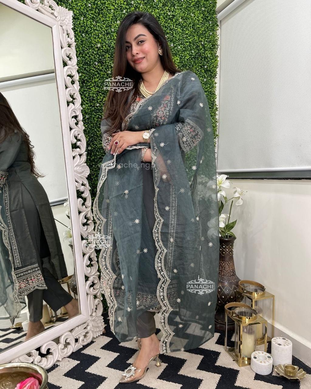 Ethereal Elegance Organza Embroidered Suit Set