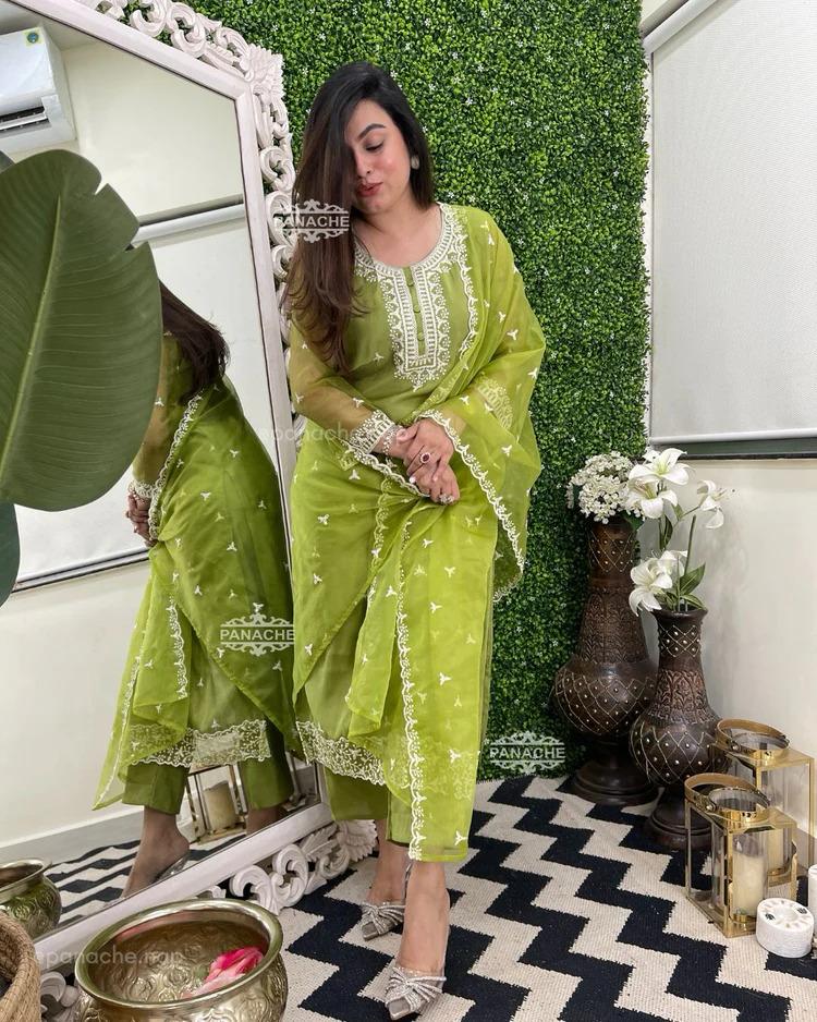 Heavy Organza Silk Embroidered Suit Set