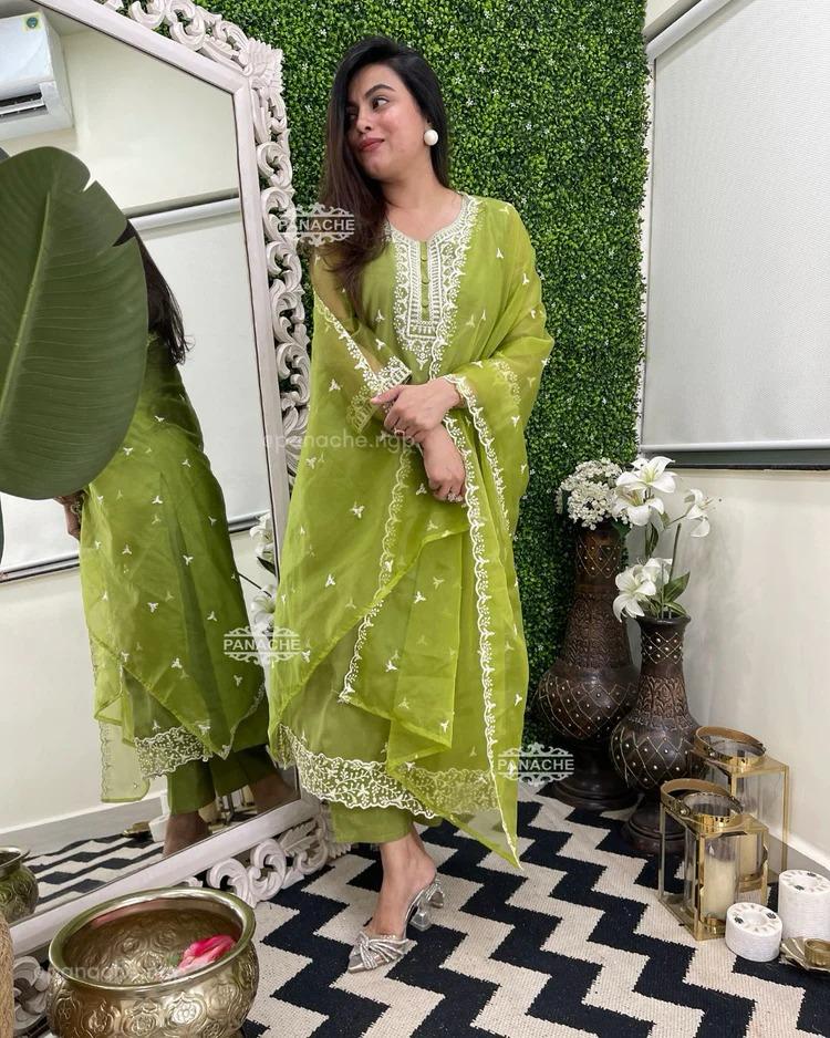 Heavy Organza Silk Embroidered Suit Set