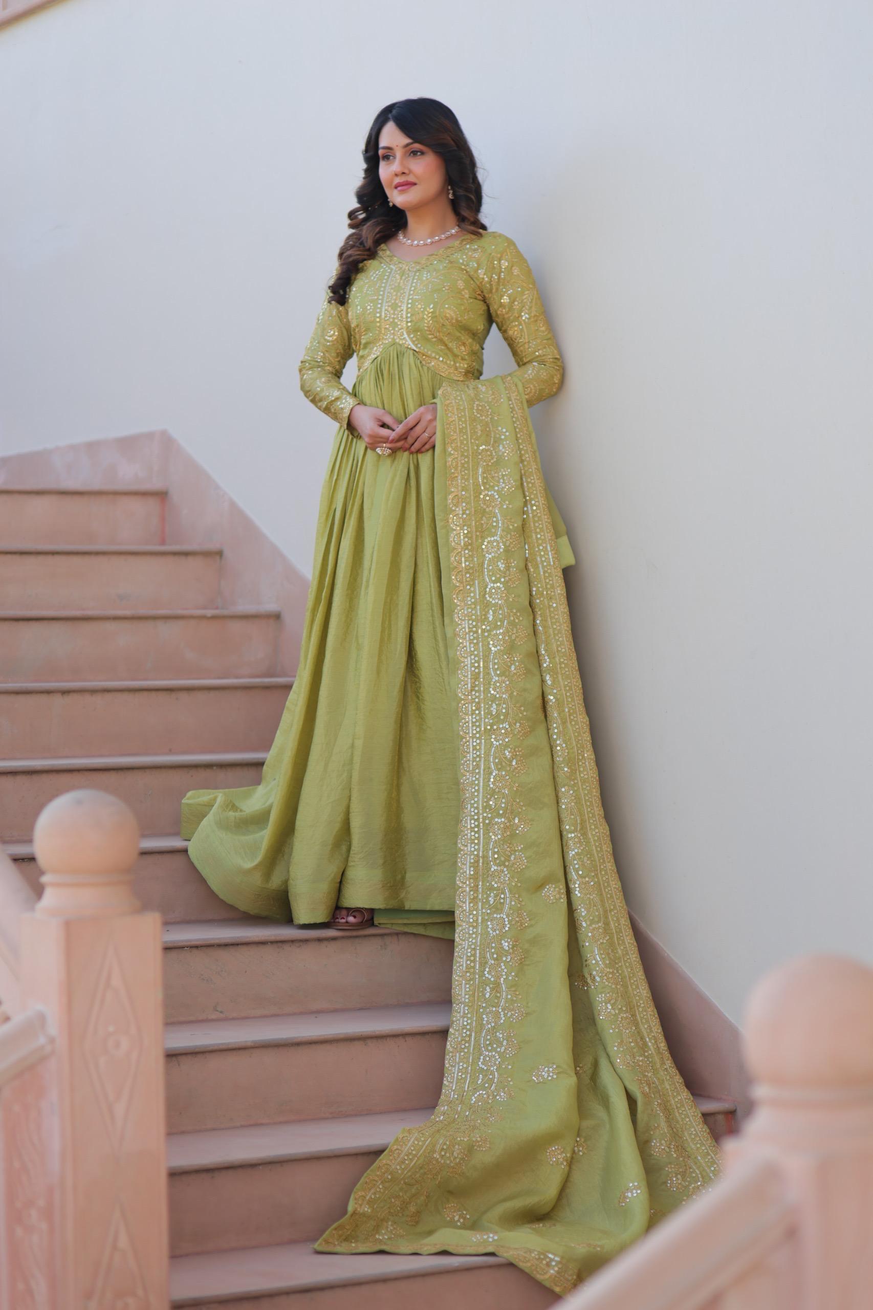 Mehervaani Gold Crush Embroidered Gown Set