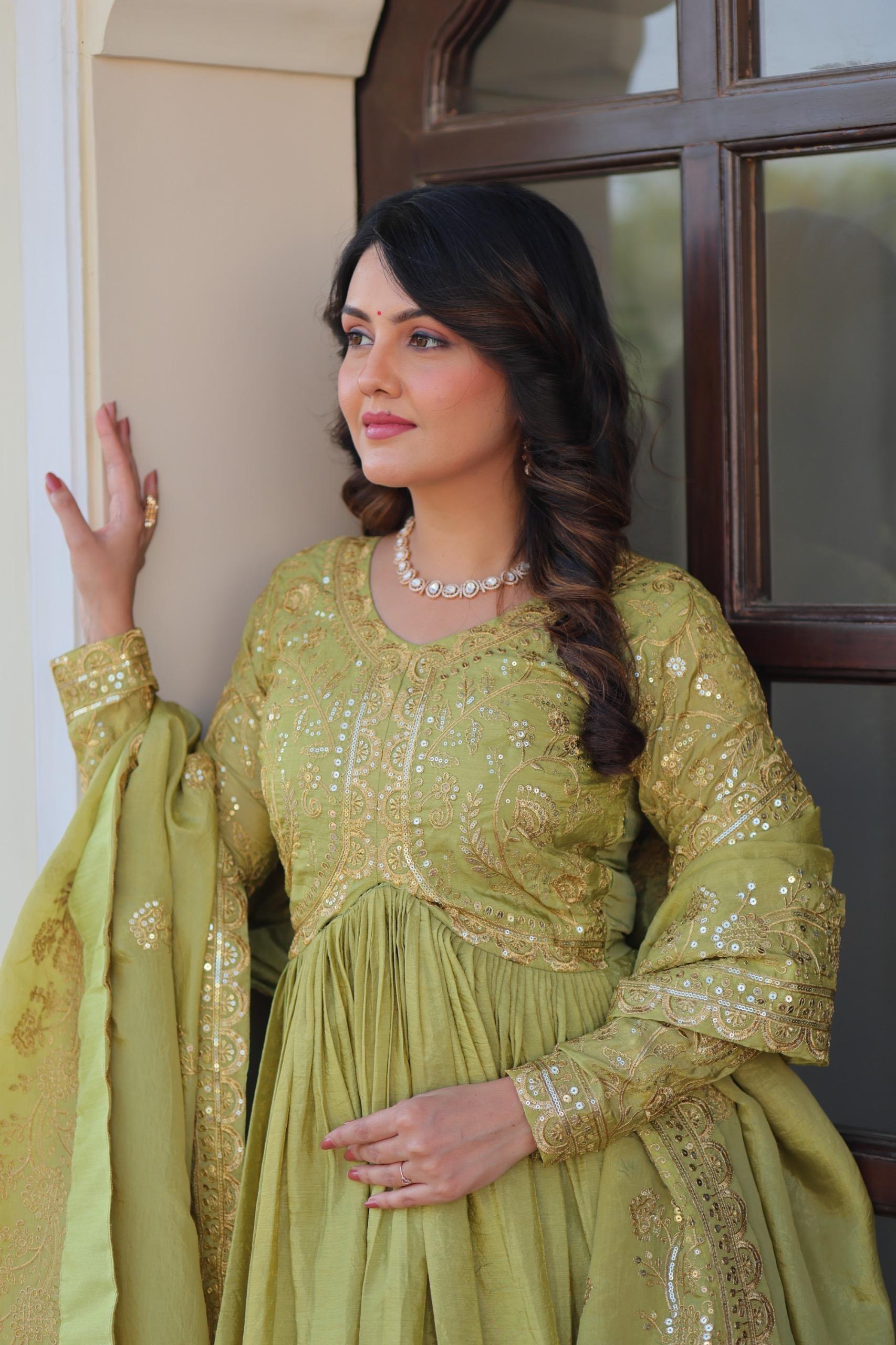 Mehervaani Gold Crush Embroidered Gown Set