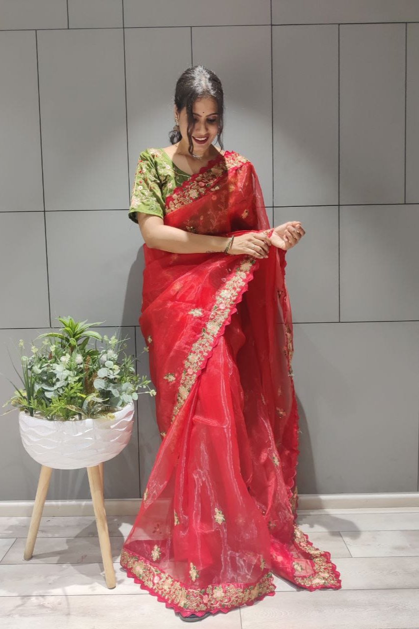 Premium Organza & Diamond Silk Saree