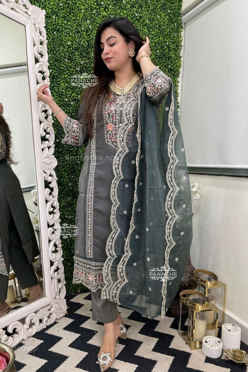 Ethereal Elegance Organza Embroidered Suit Set