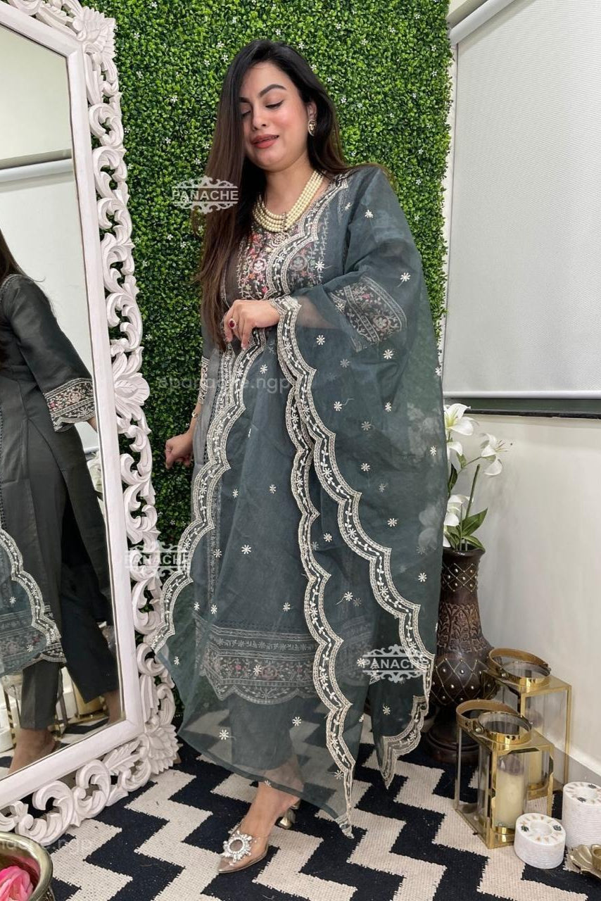 Ethereal Elegance Organza Embroidered Suit Set