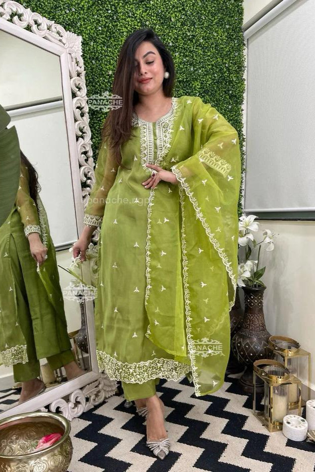 Heavy Organza Silk Embroidered Suit Set