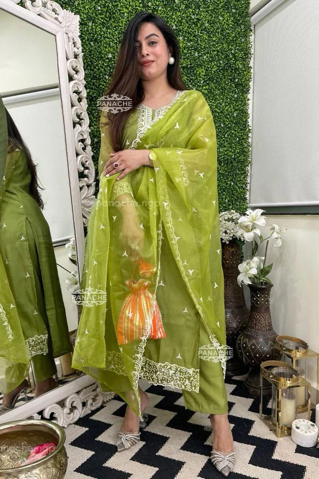 Heavy Organza Silk Embroidered Suit Set